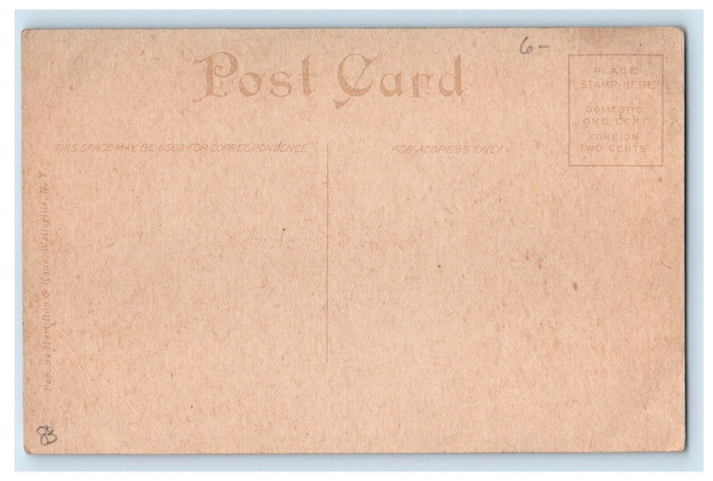 c1910's Genesee River Buffalo Susquehanna Train Railroad Wellsville NY Postcard