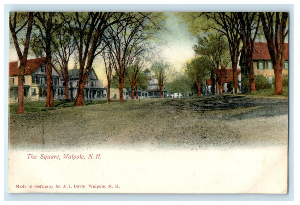 c1905s The Square Walpole New Hampshire NH Antique Unposted Postcard