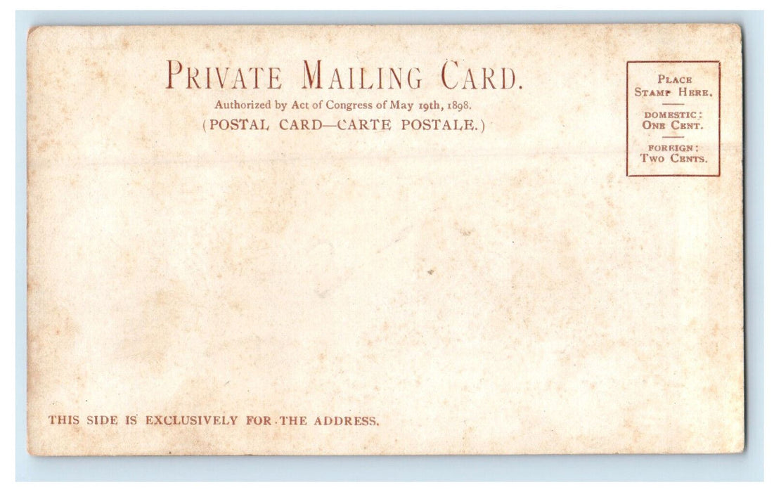 c1900s Oldroyd Lincoln Memorial Collection, Washington DC Unposted PMC Postcard