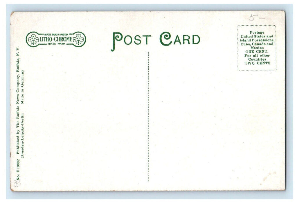 c1910's Residence Of E. B. Hall Street View Wellsville New York NY Postcard