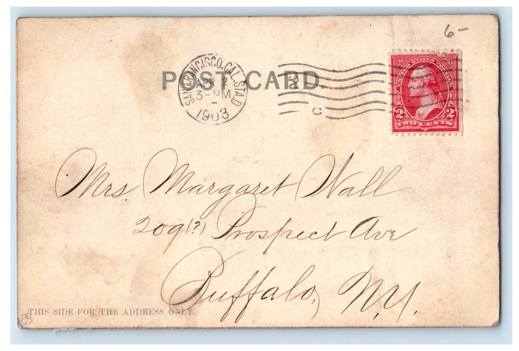 1903 High Relief Embossed Panorama San Francisco Pre-Fire Disaster Postcard