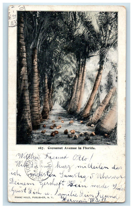 1901 Cocoanut Avenue in Florida FL Posted Antique PMC Postcard