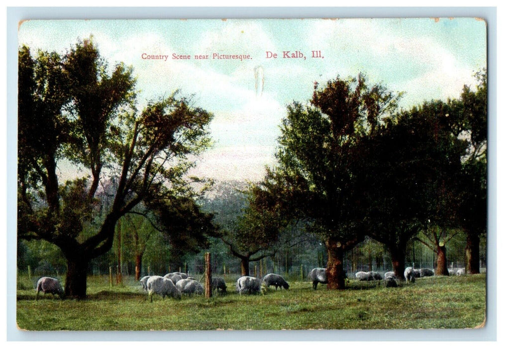 c1910's Country Scene Near Picturesque De Kalb Illinois IL Antique Postcard
