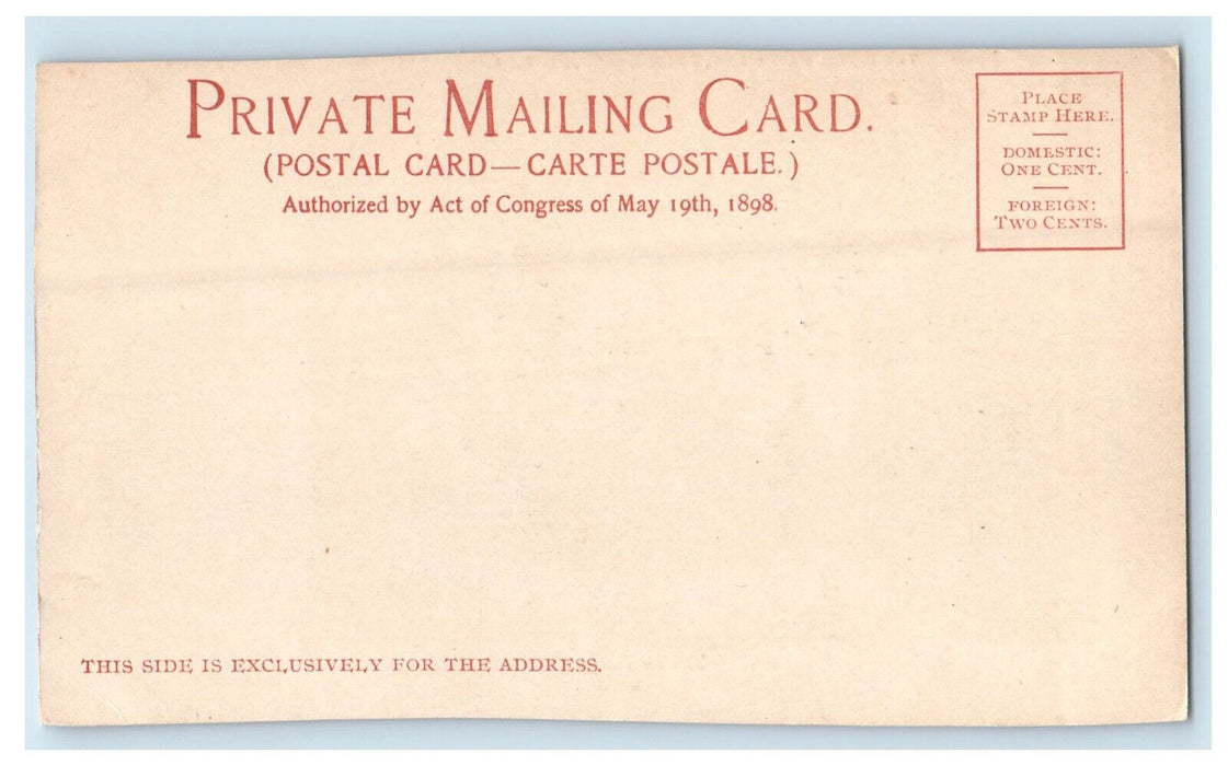 c1900s The Royal Poinciana, Palm Beach Florida FL Unposted Postcard