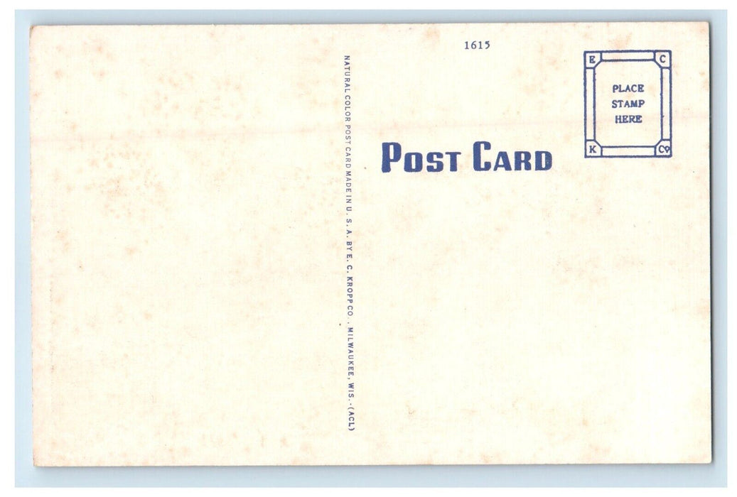c1930's Lover's Lane Sager's Lake Valparaiso Indiana IN Vintage Postcard