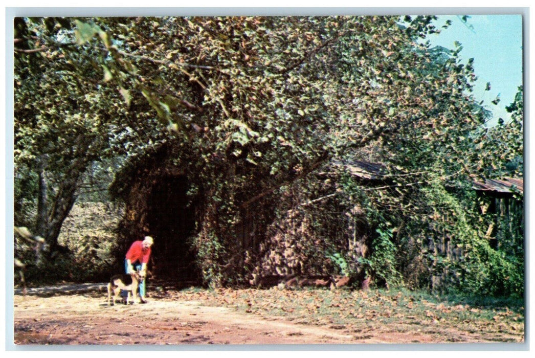 c1960s Cromer's Mill Covered Bridge Near Carnesville Georgia GA Antique Postcard