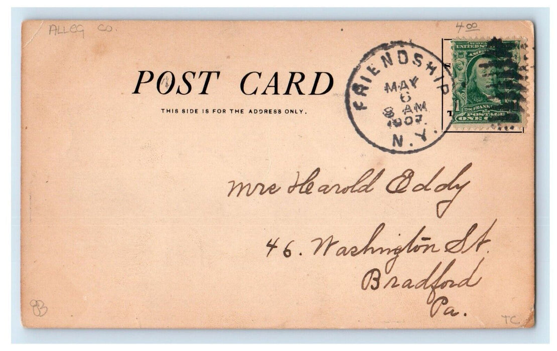1907 Main Street Stores Horse Carriage Friendship New York NY Antique Postcard