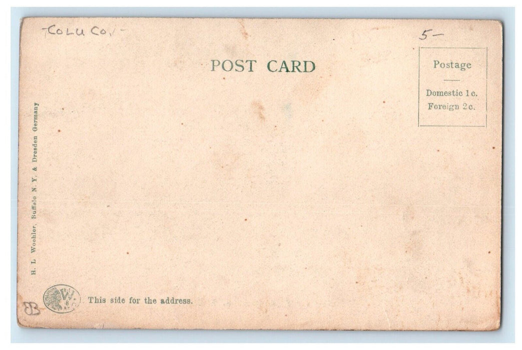 c1905 Bunkers Covered Bridge Hudson New York NY Unposted Antique Postcard