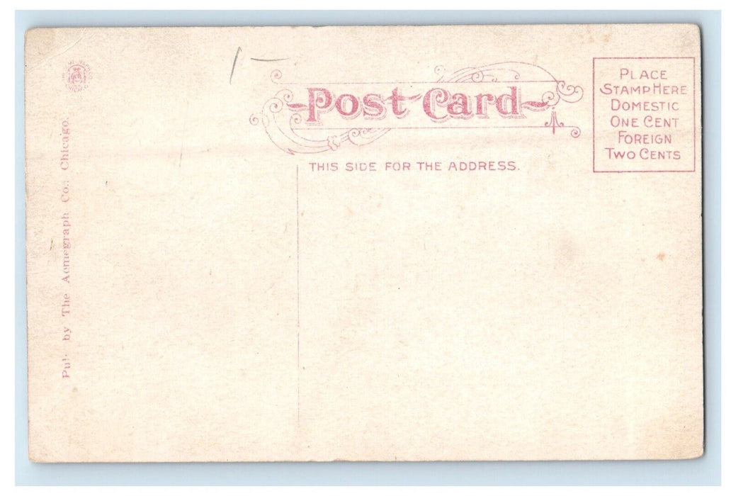 c1910's Scene On The Cedar River Waterloo Iowa IA Unposted Antique Postcard