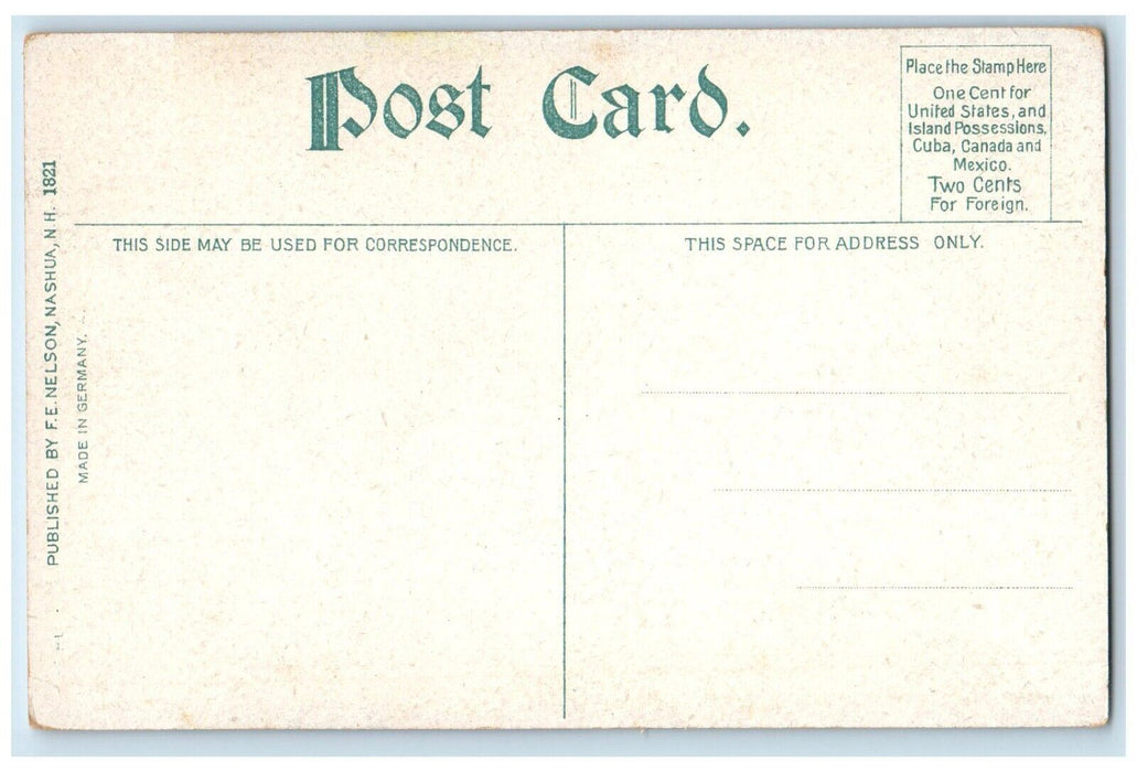 c1920's Nelson Building And Department Store Nashua New Hampshire NH Postcard
