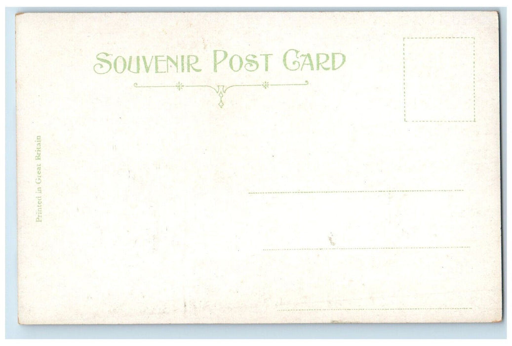 c1905 Tremont House Horse Street Carriage Nashua New Hampshire NH Postcard