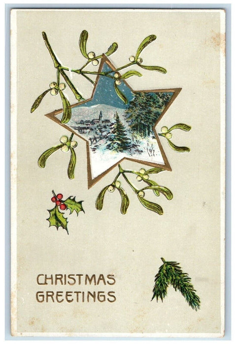 c1910's Christmas Greetings Mistletoe Star Pine Trees Winter Embossed Postcard