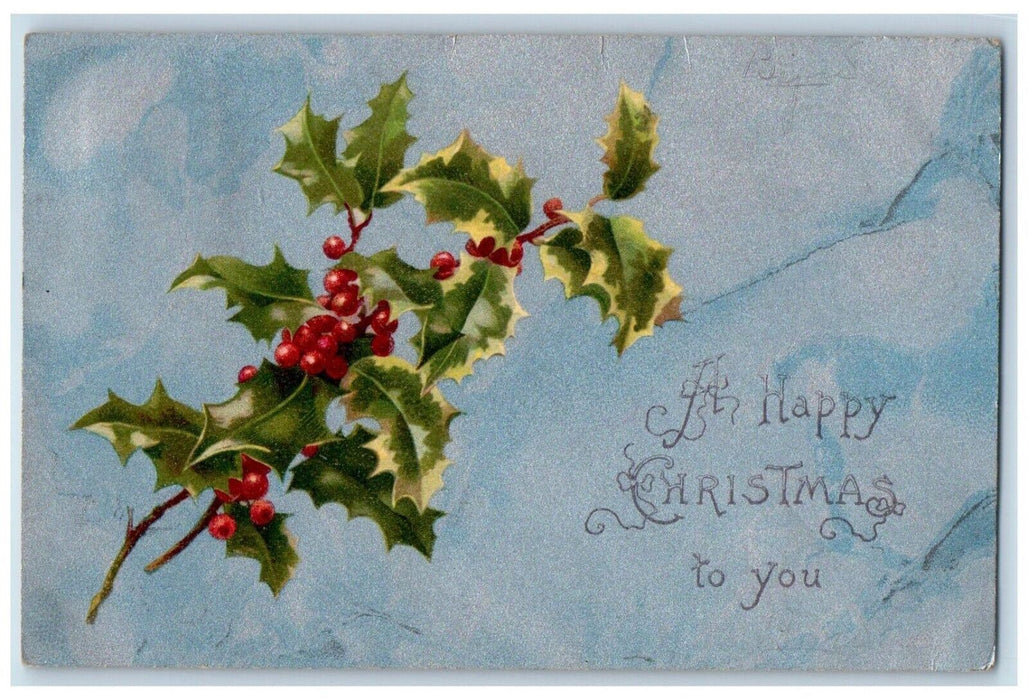 1905 Christmas Holly Berries Nash Globe North Carolina NC Antique Postcard