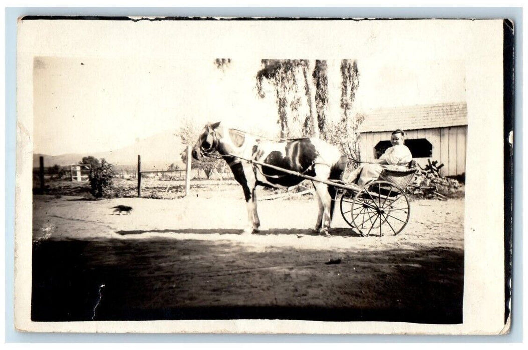 1923 Horse Carriage Woman Cat Farm Barn View California CA RPPC Photo Postcard