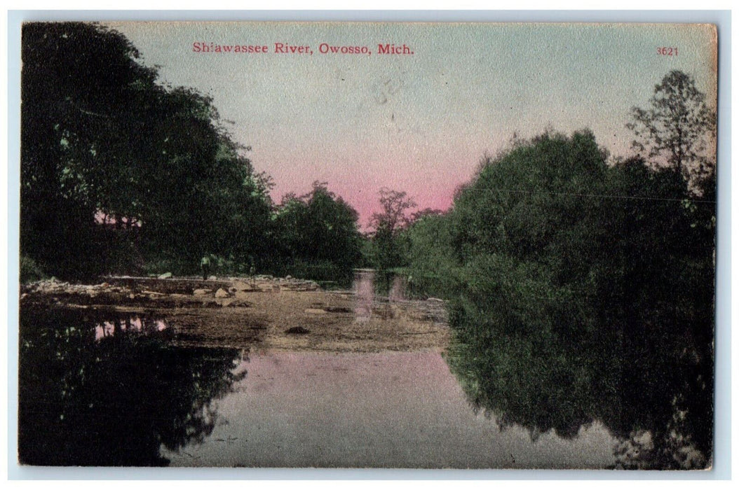 1909 Scenic View Of  Shiawassee River Owosso Michigan MI Antique Posted Postcard