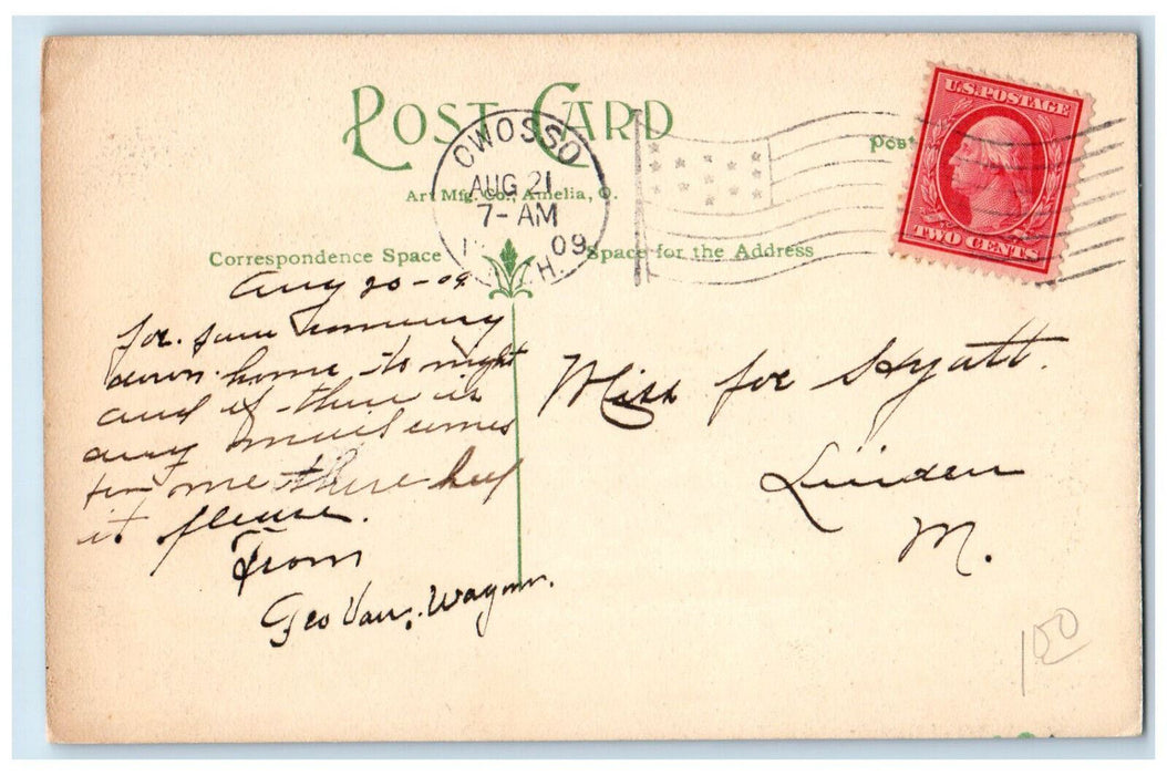 1909 Scenic View Of  Shiawassee River Owosso Michigan MI Antique Posted Postcard