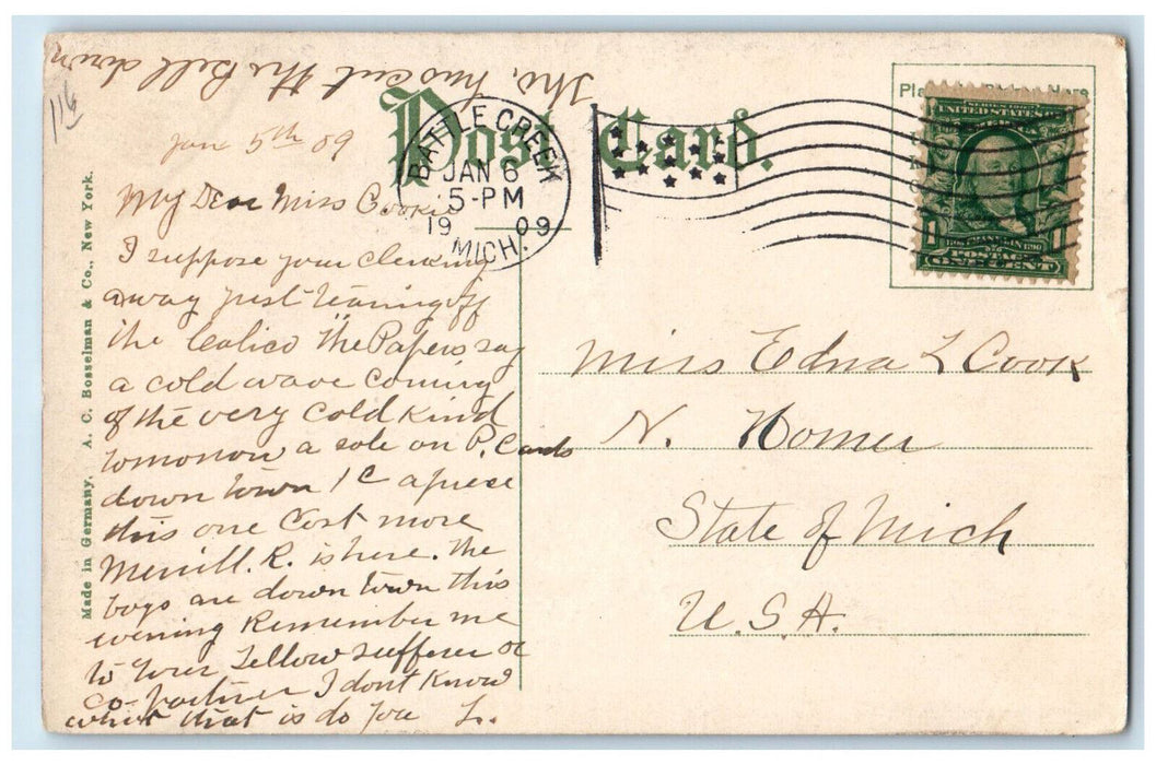 1909 Mc Camly Park Garden Tress Battle Creek Michigan MI Antique Postcard