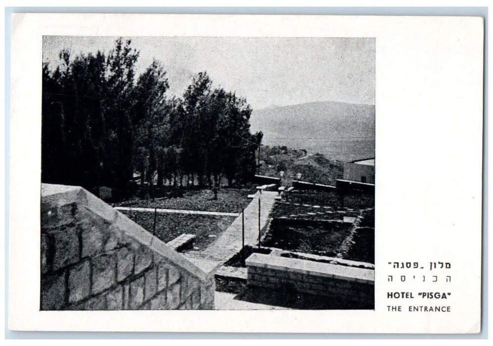 c1950's Hotel "Pisga" Mount Canaan Safed Israel Unposted Vintage Postcard