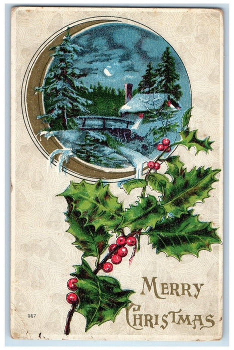 1913 Merry Christmas Holly Berries House Winter Moon Hoosick Falls NY Postcard