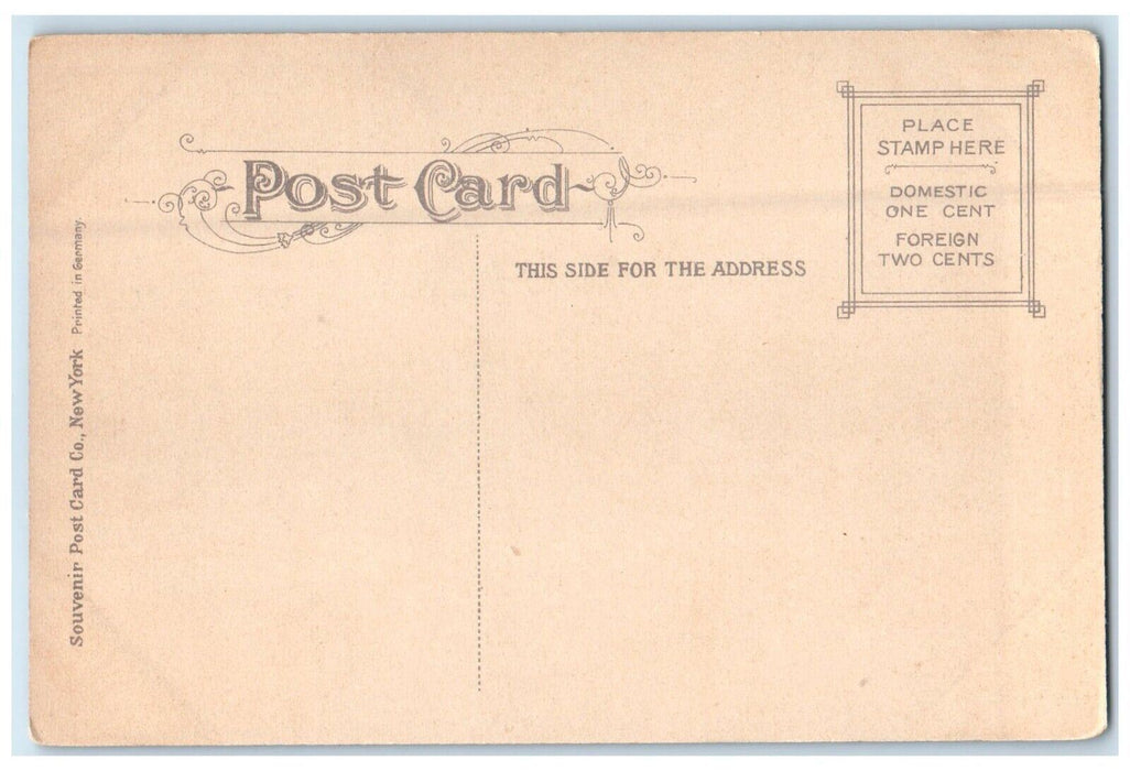 c1910's Robinson Park Rustic Bridge Fort Wayne Indiana IN Antique Postcard