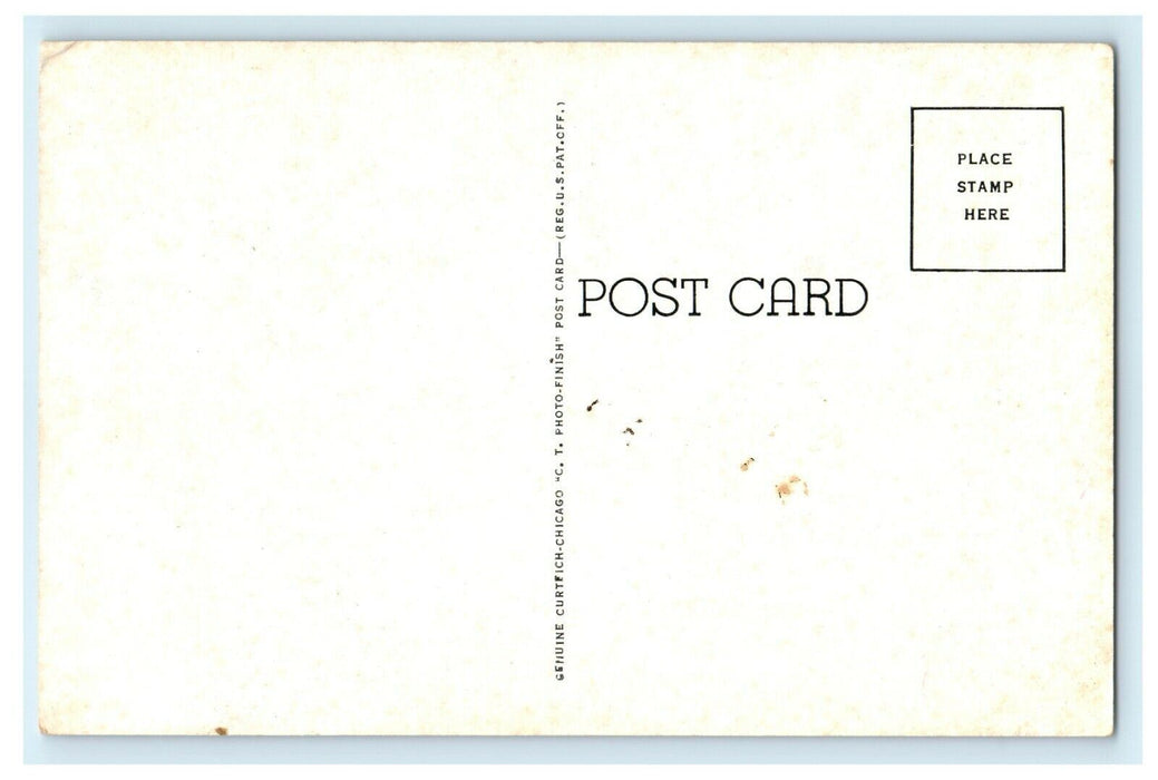 United States Post Office Mount Morris Illinois IL Unposted Antique Postcard