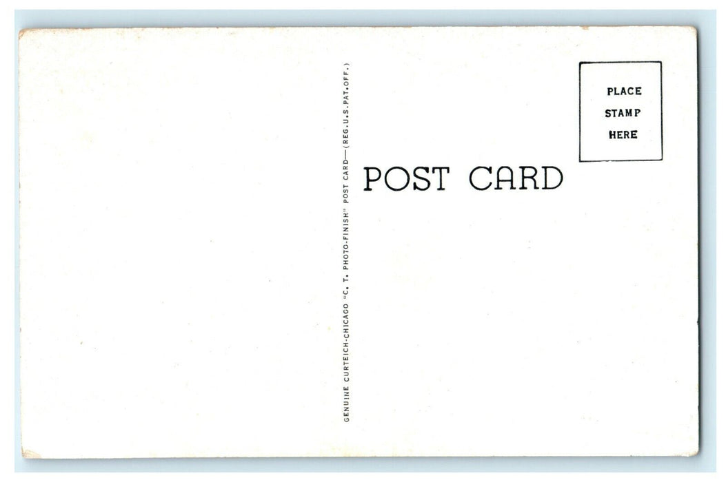 1930 Lodge and Restaurant - Illinois White Pines Forest State Park Postcard