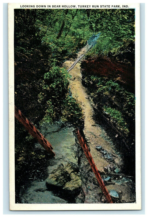 1938 Looking Down in Bear Hollow, Turkey Run State Park, Indiana IN Postcard