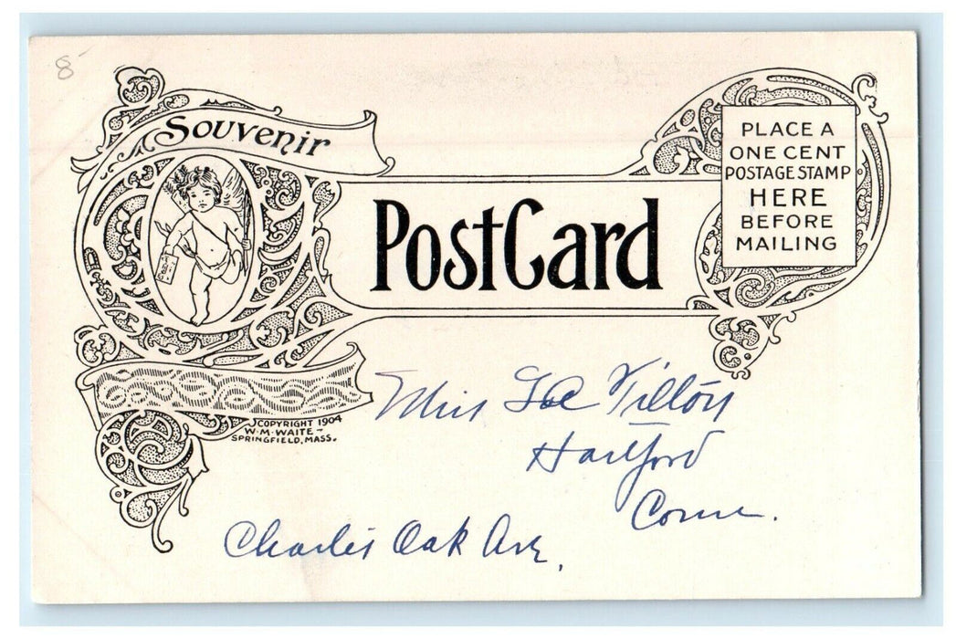 1904 Medical College, University, Burlington Vermont VT Antique Postcard