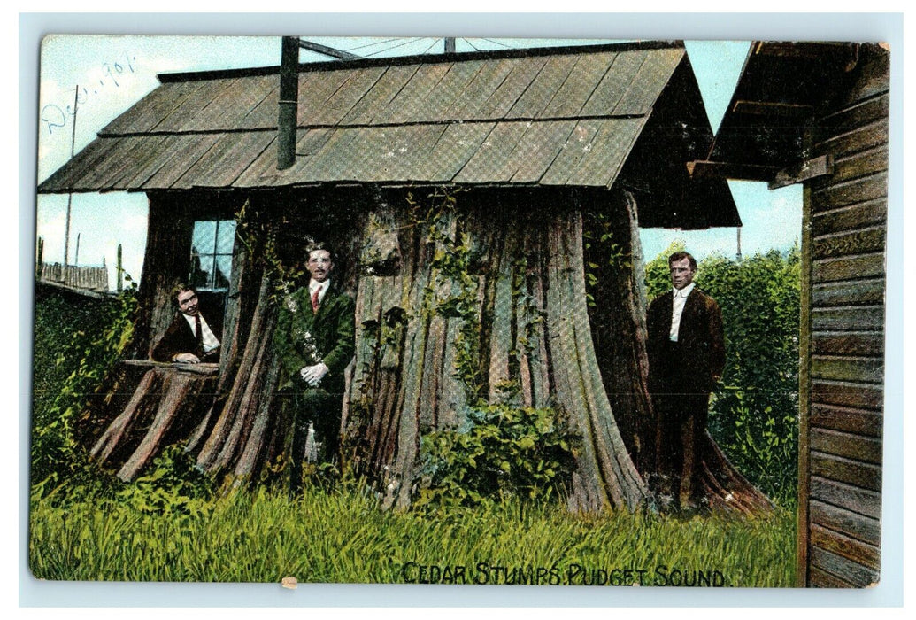 1911 Three Man in a House, Cedar Stumps, Pudget Sound, Washington WA Postcard