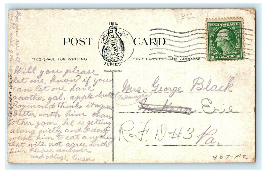 c1913 Boat Landing Public Steamboat Erie Pennsylvania PA Antique Postcard