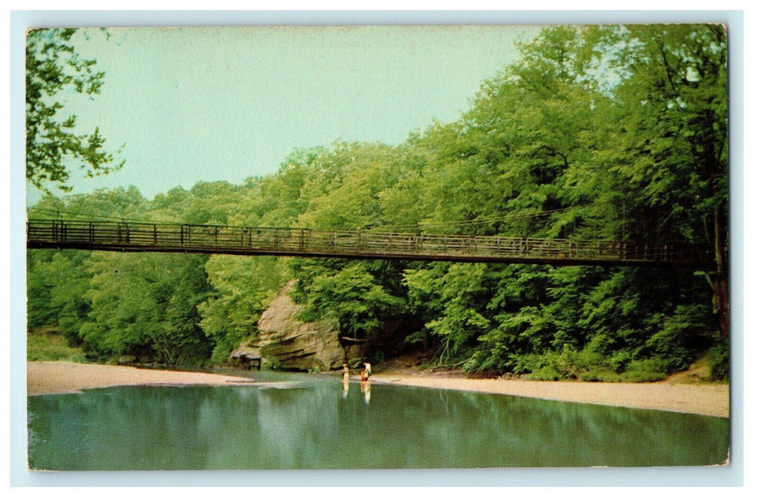 Suspension Bridge Sugar Creek Turkey Run State Park Marshall Indiana IN Postcard
