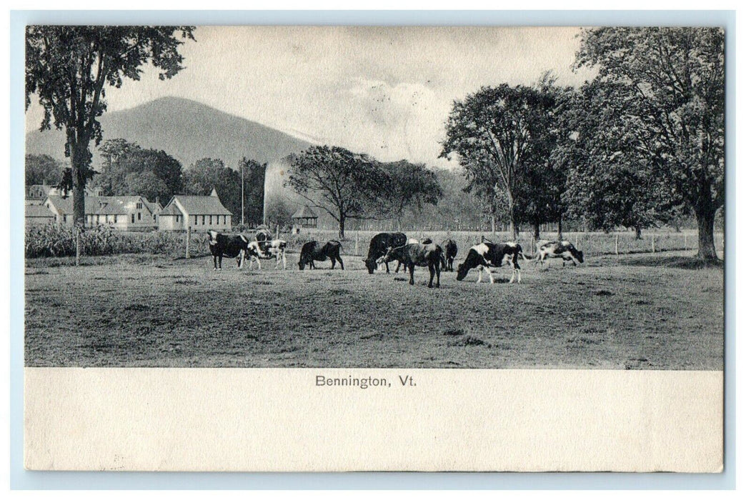 1907 Cows and Trees View, Bennington, Vermont VT Antique Posted Postcard