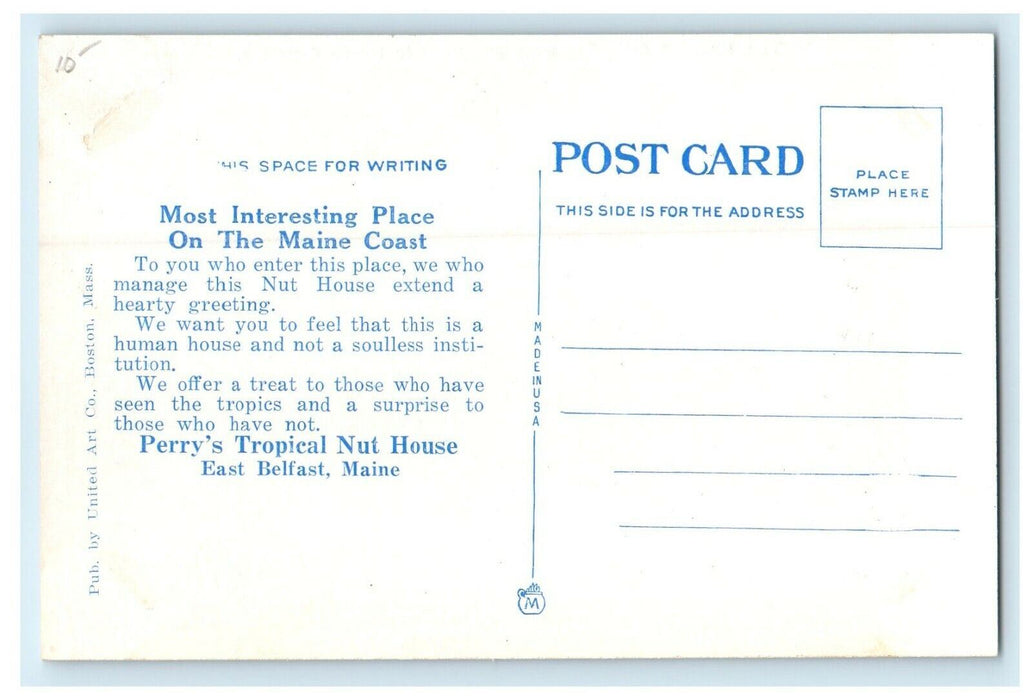1936 Perry's Tropical Nut House, East Belfast, Maine ME Advertising Postcard