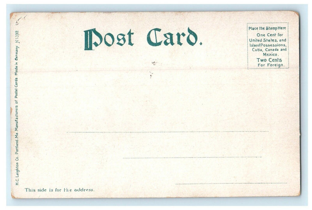 c1905 Lake Massabesic Front Pond Rowboats Manchester New Hampshire NH Postcard