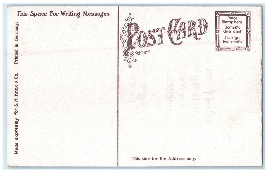 c1910's Fairland Park View Terre Haute Indiana IN Unposted Antique Postcard