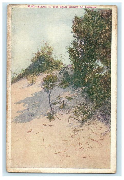 c1910 Scene In The Sand Dunes Of Indiana IN Unposted Antique Postcard