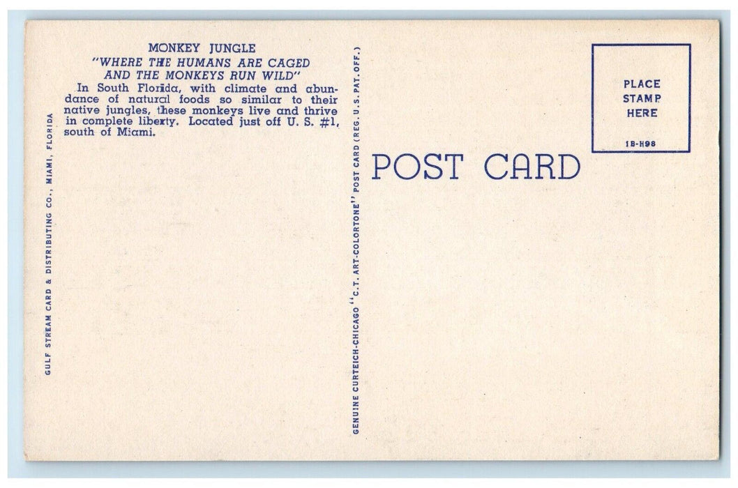 c1940's Silver Gibbon Monkey Jungle Near Miami Florida FL, Animals Postcard