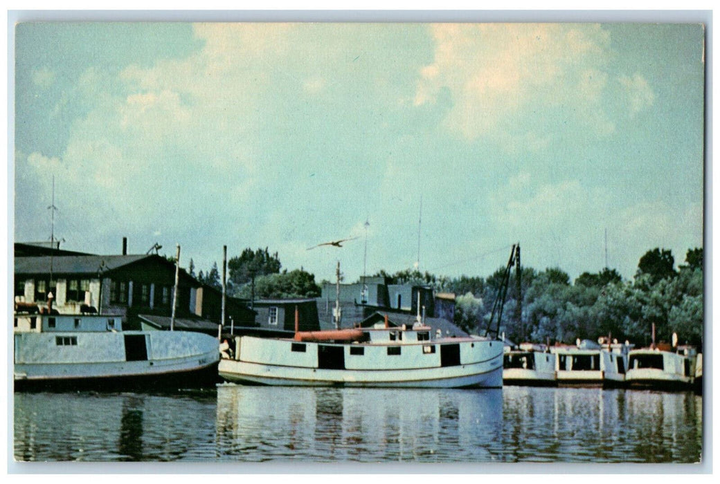 c1950's A Portion of the Famous Fishing Fleet Port Dover Ontario Canada Postcard