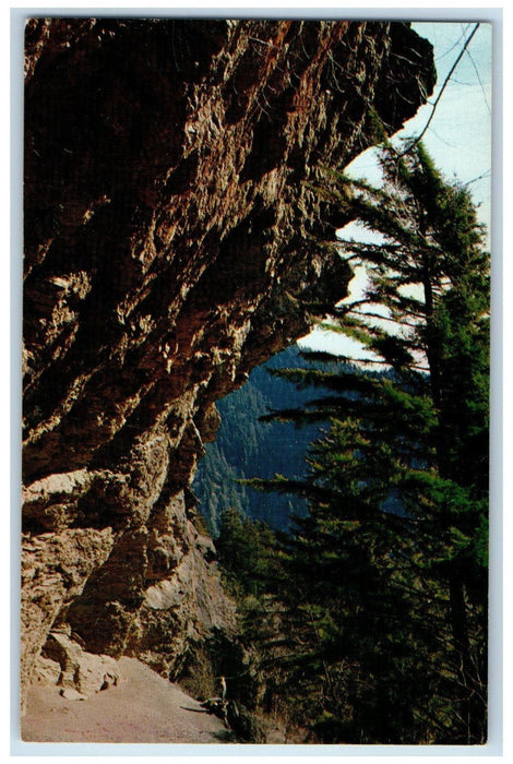 c1950's Overhanging Alum Cave Bluff Alum Cave Trail Mt. Leconte TN Postcard