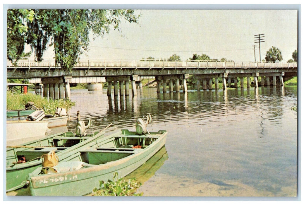 c1960's Motorboats, Withlacoochee River at Dunnellon Florida FL Postcard