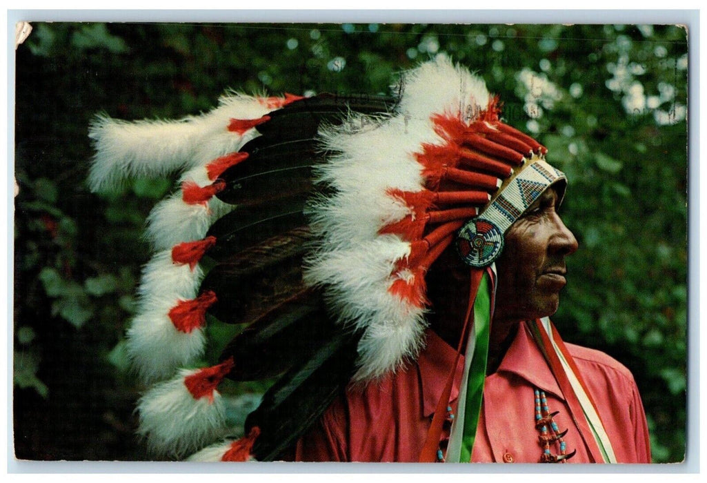 Steve Saunokee Cherokee Indian Great Smoky Mountain National Park NC Postcard