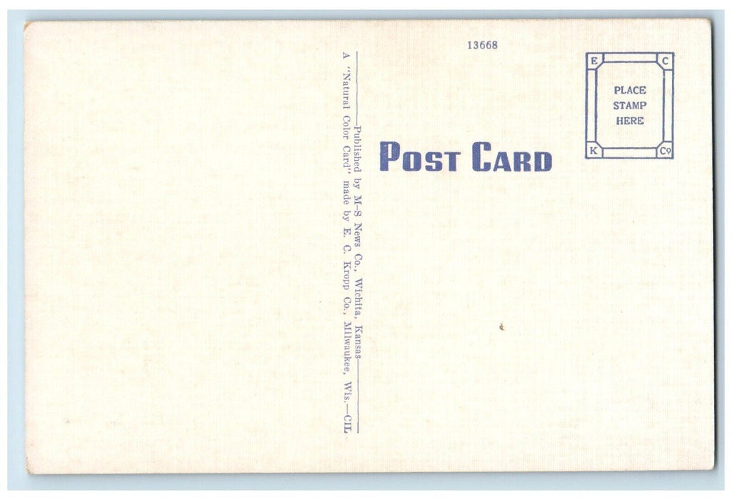 View Of Drive In Athletic Park Newton Kansas KS Unposted Vintage Postcard