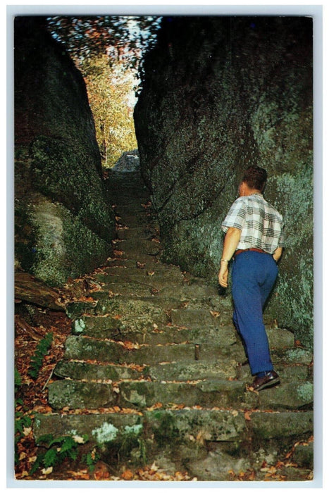 c1960's Indian Stairs at Rock City Park Route 16A Olean New York NY Postcard