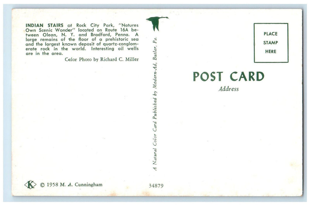 c1960's Indian Stairs at Rock City Park Route 16A Olean New York NY Postcard