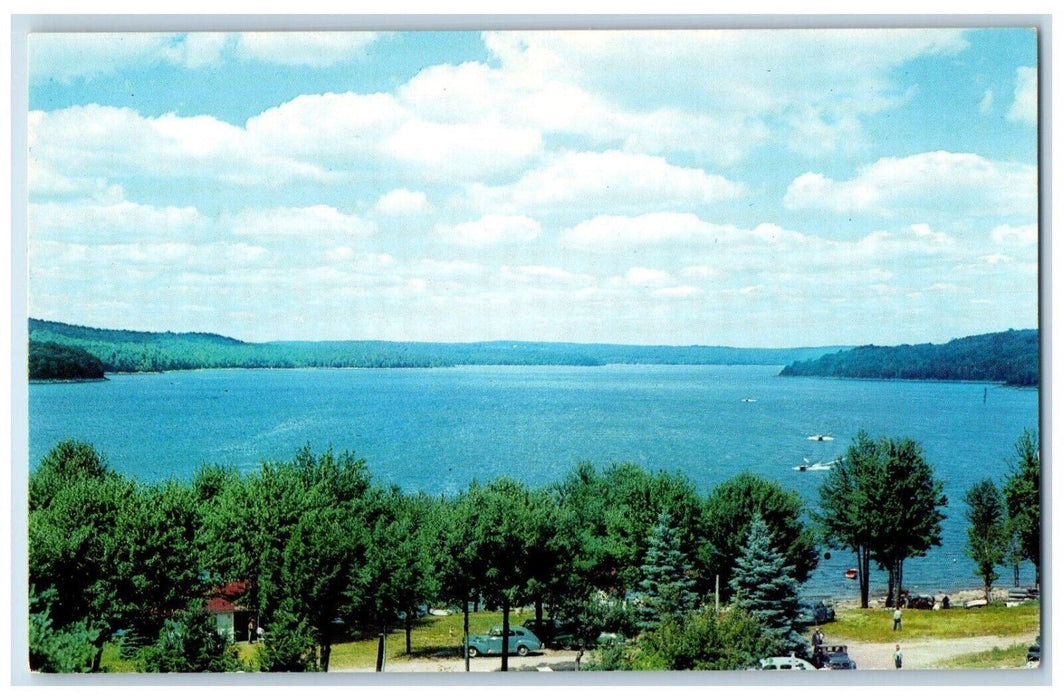 Picnic Grounds And Lake Front At White Beauty View Resort Greentown PA Postcard