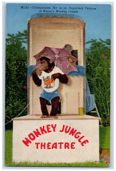 c1930's Chimpanzee Act Monkey Jungle Theater At Miami Florida FL Postcard