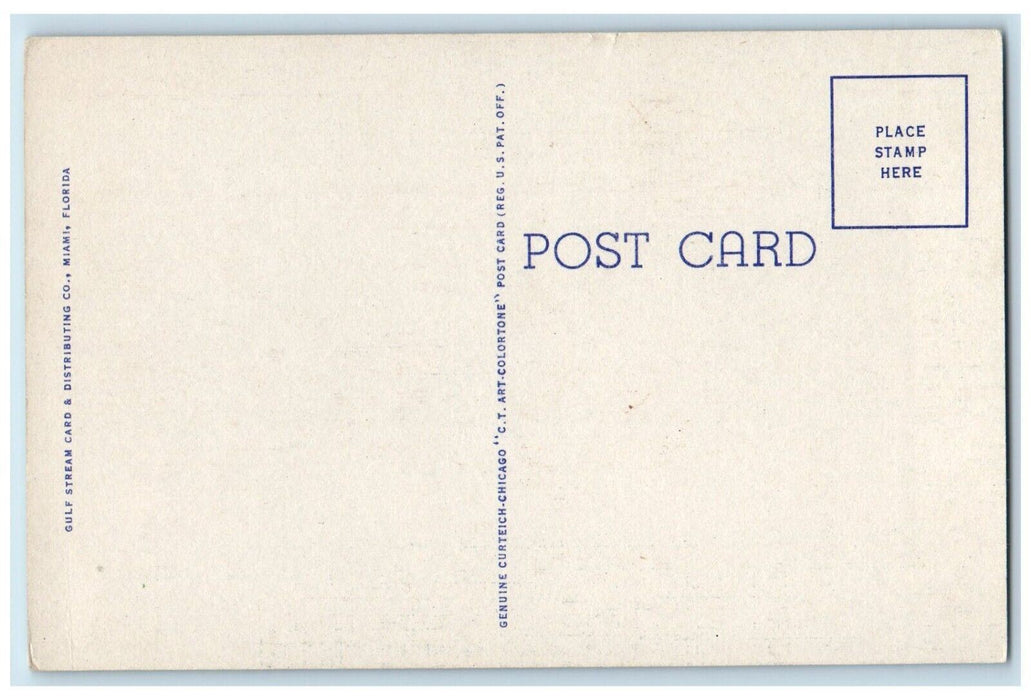 c1930's Chimpanzee Act Monkey Jungle Theater At Miami Florida FL Postcard