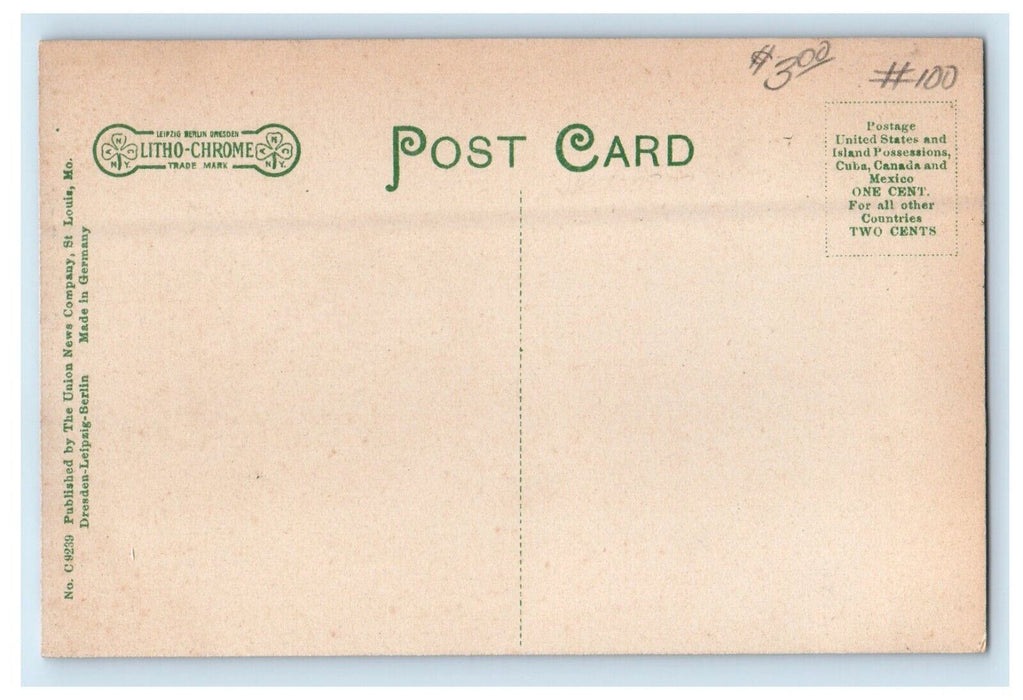 c1910s Fairlawn Park Rustic Bridge Decatur Illinois IL Unposted Antique Postcard