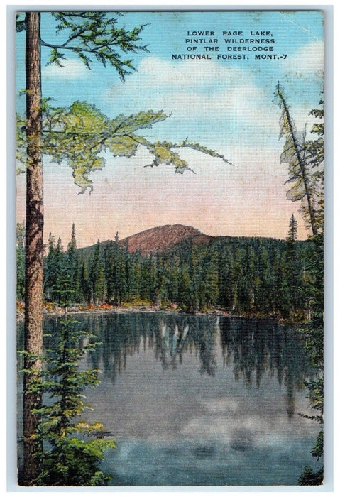 Lower Page Lake Pintlar Wilderness Of The Deerlodge National Forest MT Postcard