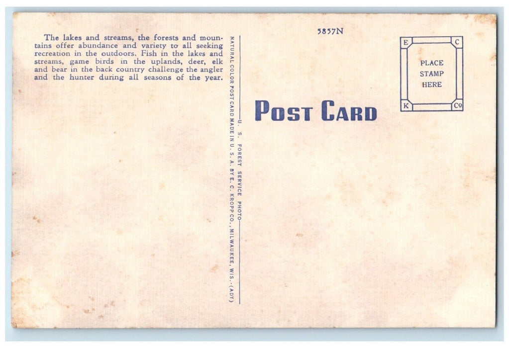 Lower Page Lake Pintlar Wilderness Of The Deerlodge National Forest MT Postcard